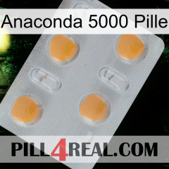 Anaconda 5000 Pill 24